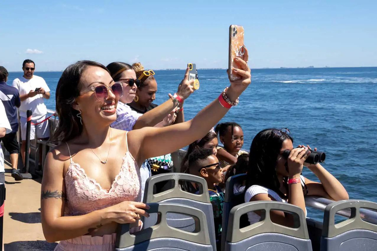 NYC : croisière d&#039;observation des baleines au départ de ManhattanNew York : croisière d&#039;observation des baleines au départ de Manhattan