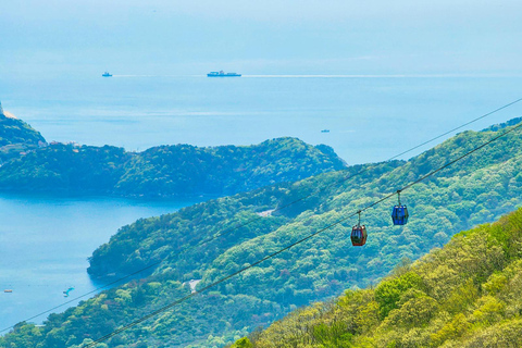 Geoje Cable Car and Oedo Botania Day Tour from Busan