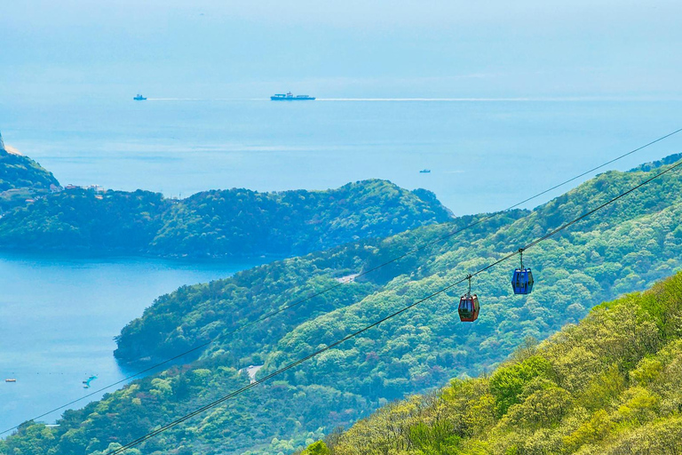 Geoje Cable Car and Oedo Botania Day Tour from Busan