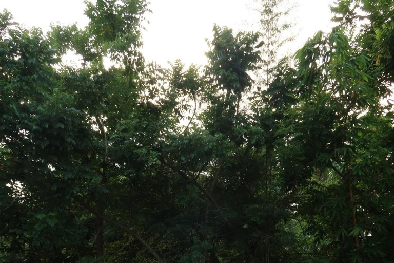 Ubud: Poolside Dining at Tropical Oasis Bar E‑Voucher Dining Voucher 350,000 IDR & Pool Accees Pass