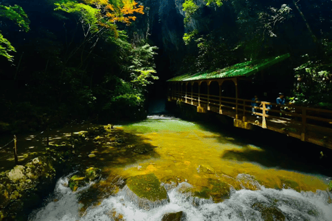 North Kyushu Tour: Akiyoshido Cave & Motonosumi Inari Shrine North Kyushu Tour: Akiyoshido Cave, Motonosumi Inari Shrrine