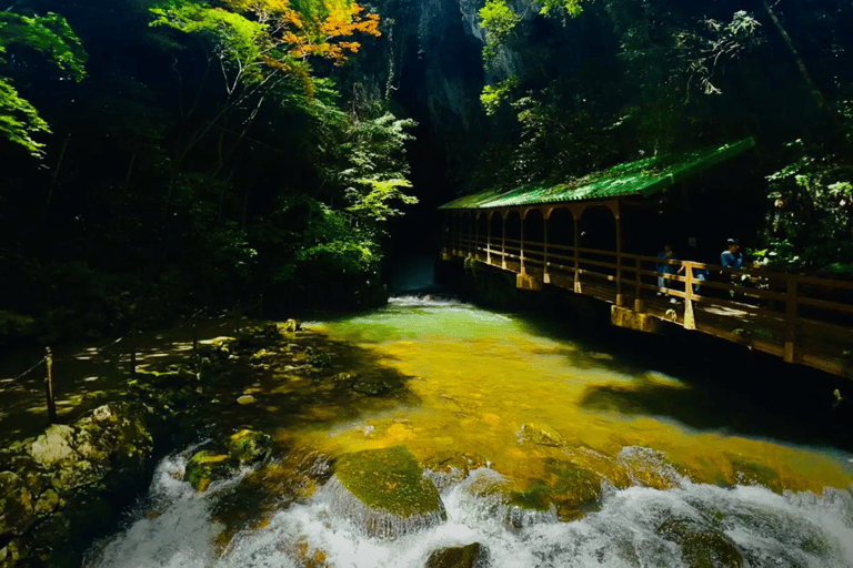 North Kyushu Tour: Akiyoshido Cave & Motonosumi Inari Shrine North Kyushu Tour: Akiyoshido Cave, Motonosumi Inari Shrrine