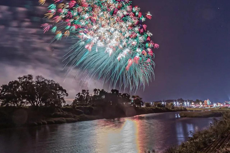 Oyama Fireworks Festival 2026: Day Trip from Tokyo 13:00-14:00 Pick up From Hotel