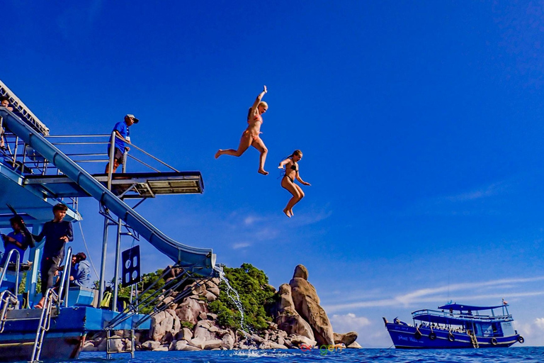 Koh Tao in a Day: Turtles, Hidden Reefs & Nangyuan Viewpoint