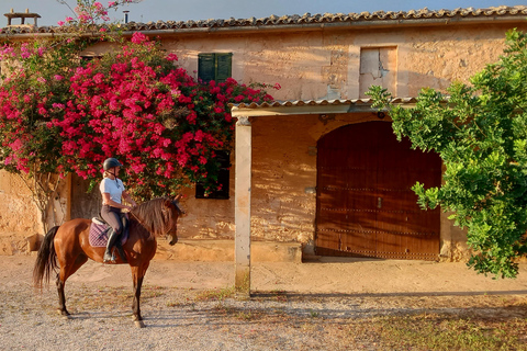 Mallorca: Randa Romántico Paseo a Caballo al Atardecer con Copas