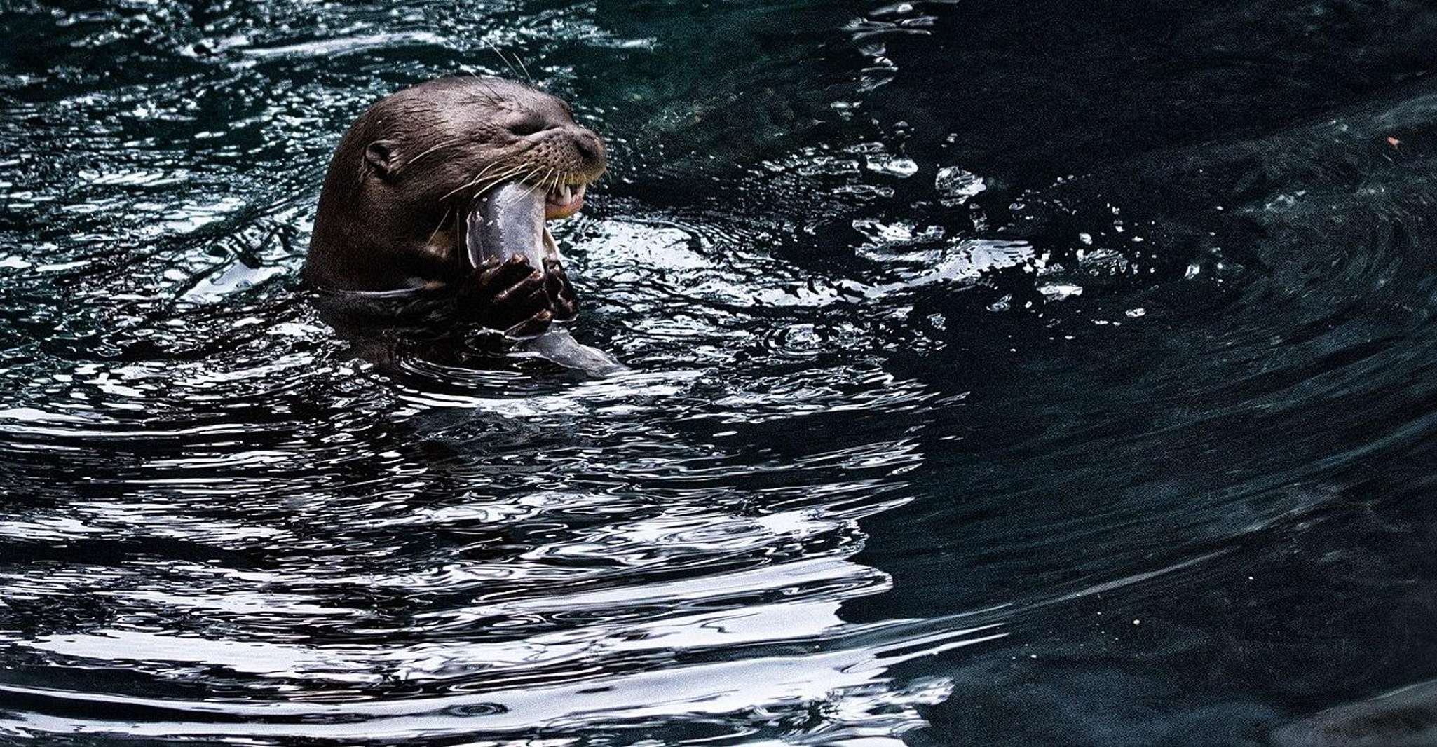 Singapore: River Wonders