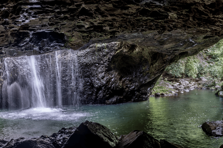 Spring Brook National Park Self Guided Driving Tour