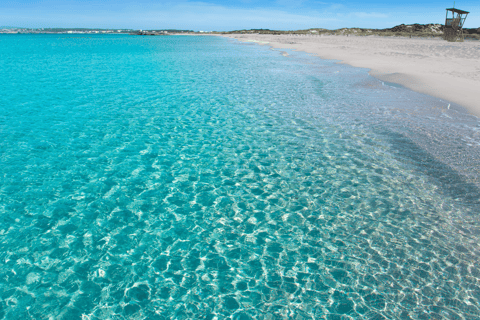 Ibiza: Formentera Cruise with Paella, Open Bar & Swim Stop