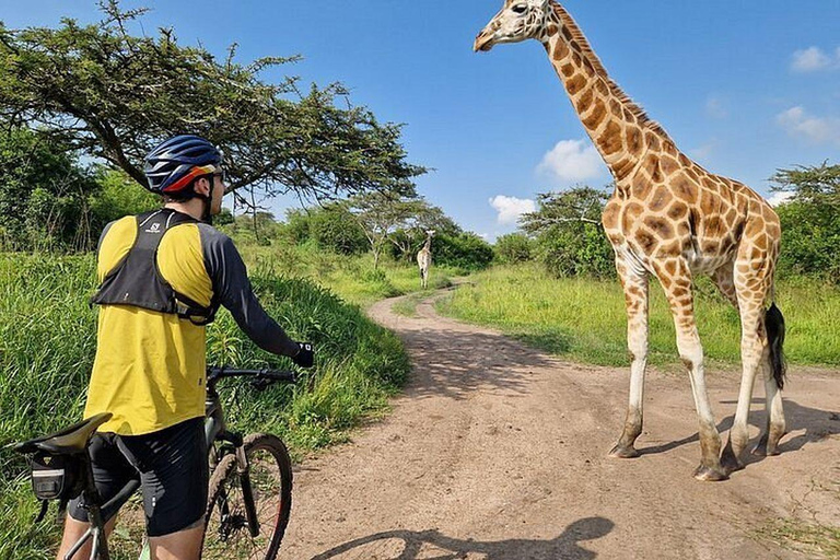 Lake Mburo 2-Day Cycling Safari, Picnic and Bush Breakfast