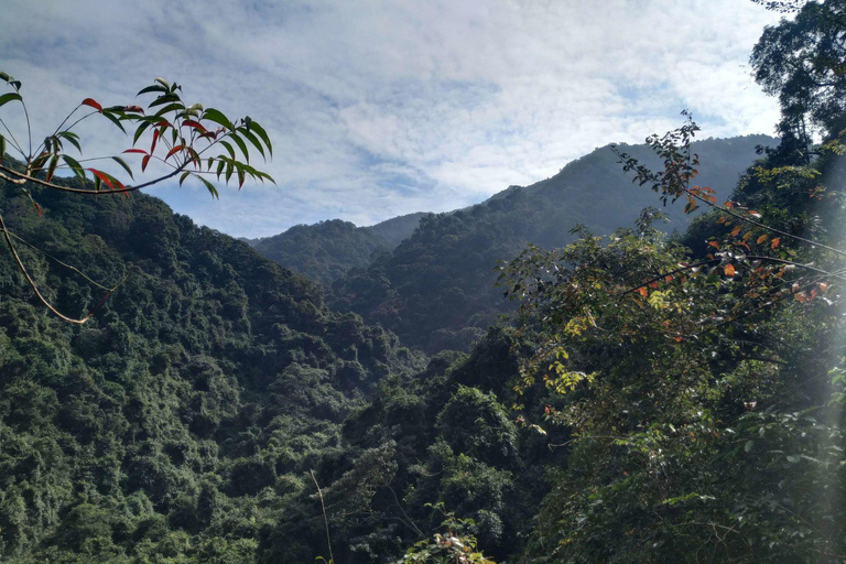 Excursión cultural de un día desde Hong Kong