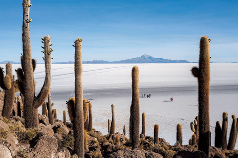 Uyuni: Excursão de 2 dias ao Salar de Uyuni e ao Cemitério de Trens