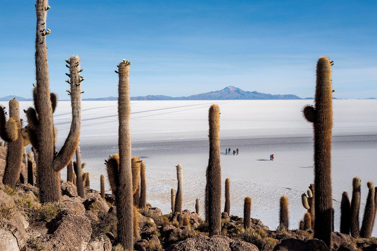 Uyuni : 2 jours de visite du Salar d&#039;Uyuni et du cimetière des trains