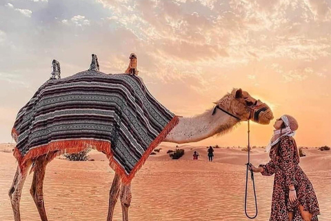 Abu Dhabi Tour Full Day - Grand Mosuqe, Louvre Museum & More Abu Dhabi Full Day Tour - Grand Mosuqe & More - German Guide