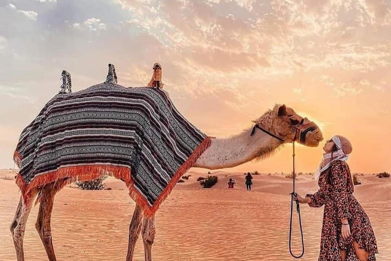 Abu Dhabi Tour Full Day - Grand Mosuqe, Louvre Museum & More Abu Dhabi Full Day Tour - Grand Mosuqe & More - German Guide