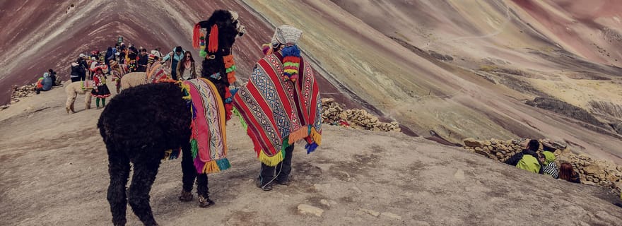 Depuis CUSCO : Excursion d'une journée à la montagne Arc-en-ciel
