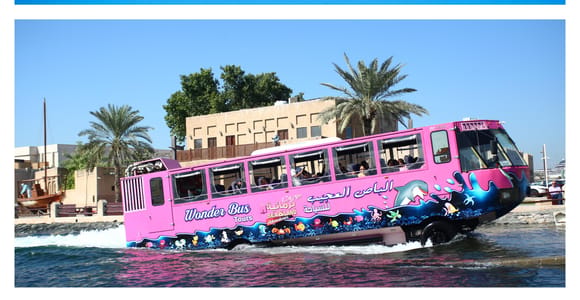 Dubai: Balloon Ride and Wonder Bus Tour, Sky, Sea &land Tour