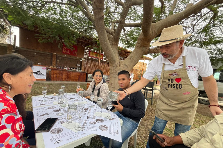 Pisco | History, Nature and Archaeology in the Pisco Valley