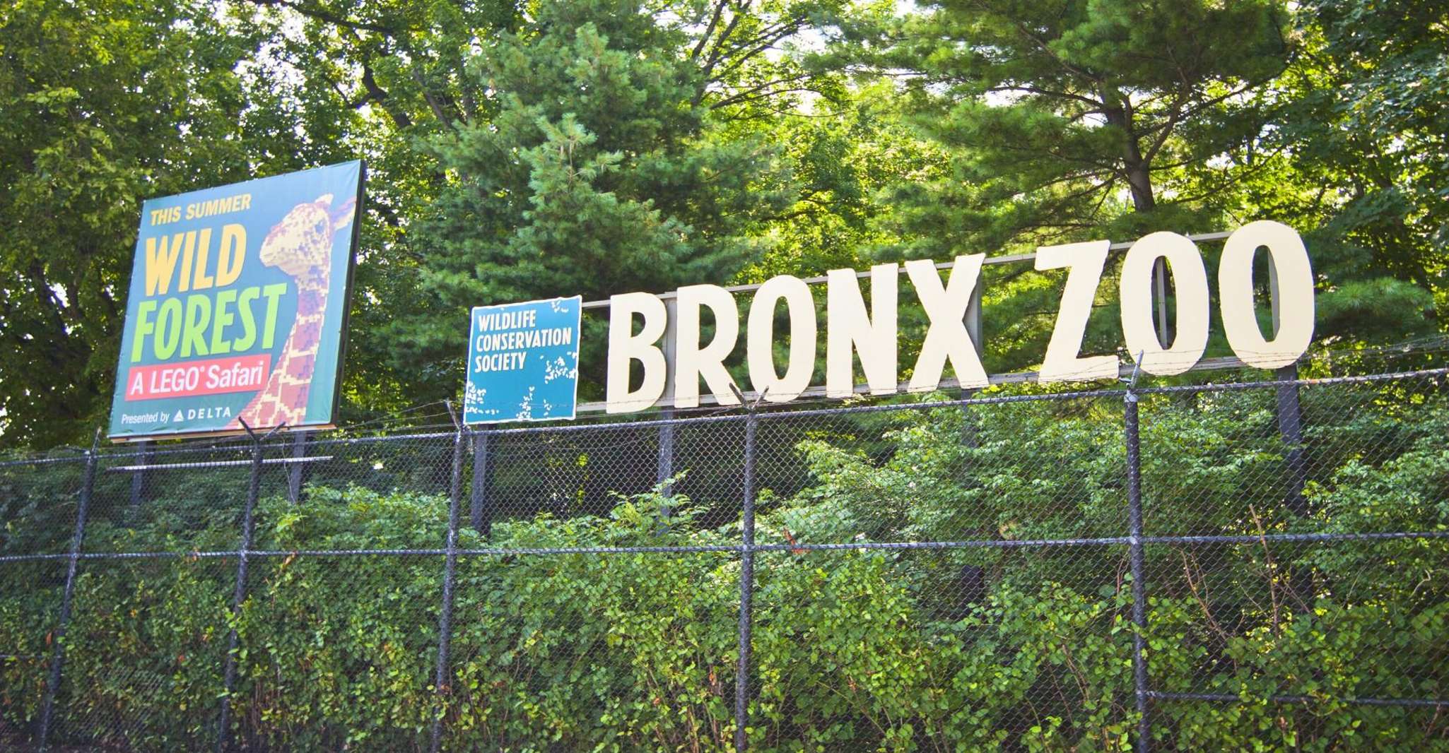 Skip-the-line Tickets to Bronx Zoo with Private Transfers - Housity
