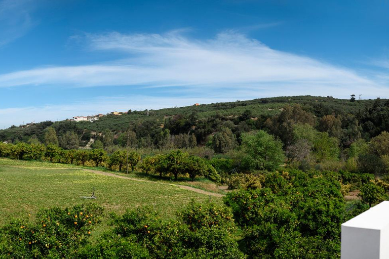 Tour di degustazione della birra creteseTour del birrificio - Degustazione di birra e villaggio di Argyroupoli