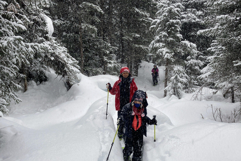 Guided Snowshoeing Adventure from Seward, Alaska 6-Hour Tour