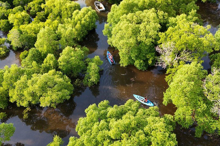 Zanzibar: Stone town tour and Mangrove Kayaking Experience. This tour include hotel transfer go and return.