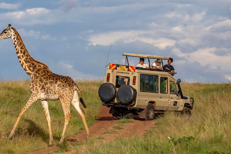 Nairobi: 6Days Maasai Mara, Nakuru and Amboseli Group Safari Accomodation Upgrade