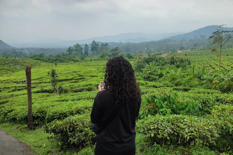 Bandung Countryside Tour: Waterfall, Rice Fields &amp; Culture
