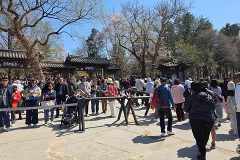 Seoul: Hallyu Nami Island Day Trip with romantic Train