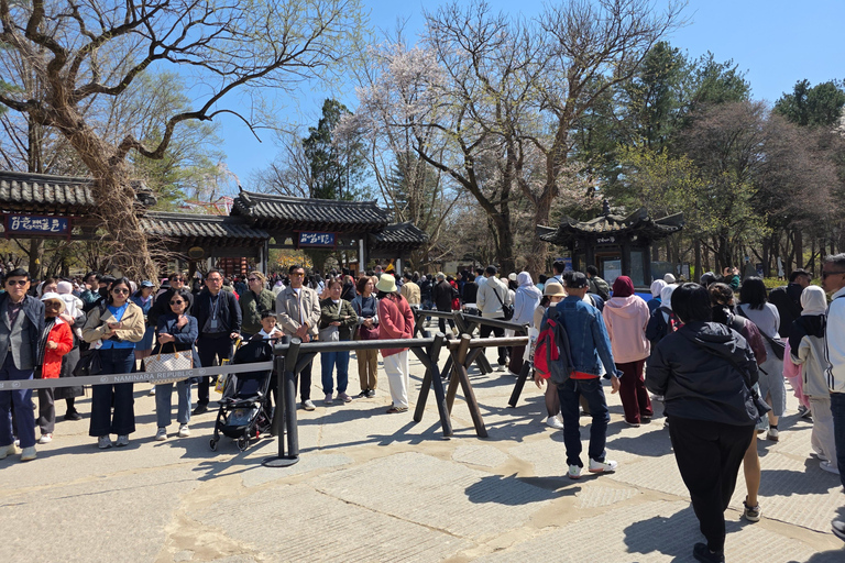 Seoul: Hallyu Nami Island Day Trip with romantic Train
