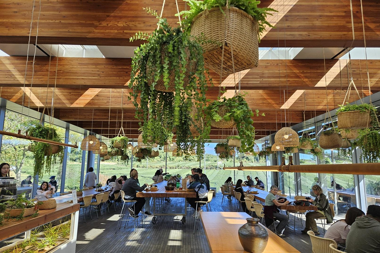 Jeju: Shore Excursion with Village Visit and Tastings