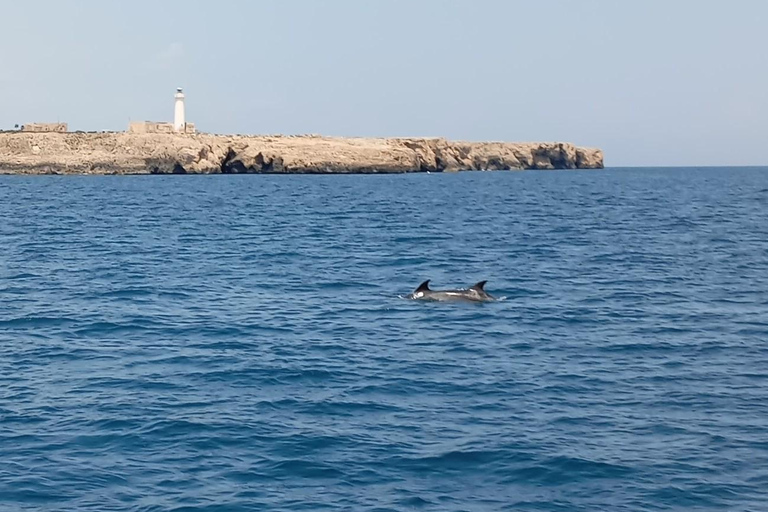 Syracuse: Snorkeling Excursions by Sailboat to Plemmirio Syracuse: Snorkeling Excursions by Sailboat at Plemmirio