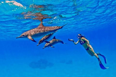 Hurgada: tour en barco de 7 horas con delfines, esnórquel y almuerzo