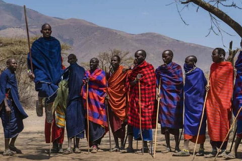 From Arusha - Maasai Boma Cultural tour