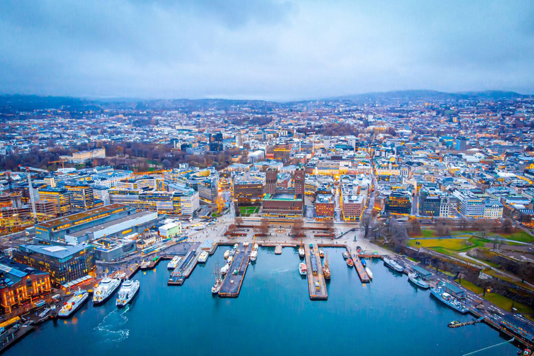 Top Oslo Tour (ville, bazar, histoire, culture, nature, mer)