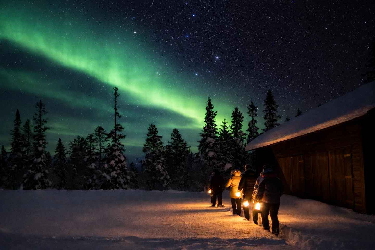 Sälen: Northern Lights Snowshoe Adventure with Pickup
