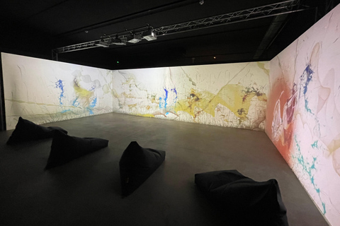 New Art Centre: rondleiding