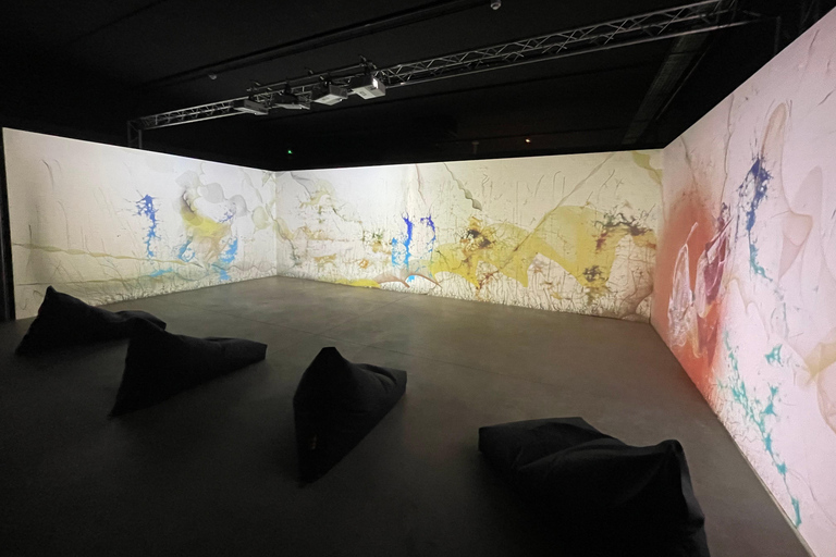 New Art Centre: rondleiding