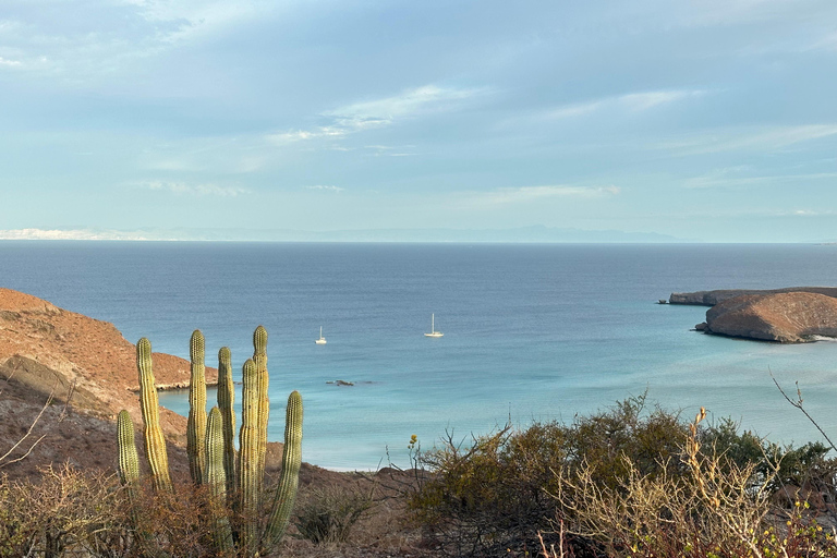 La Paz: Deluxe Yacht Adventure with Paddleboarding