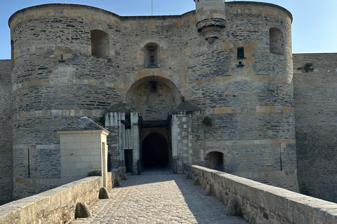 Angers: Château d'Angers, Wine Tasting, and Lunch Tour