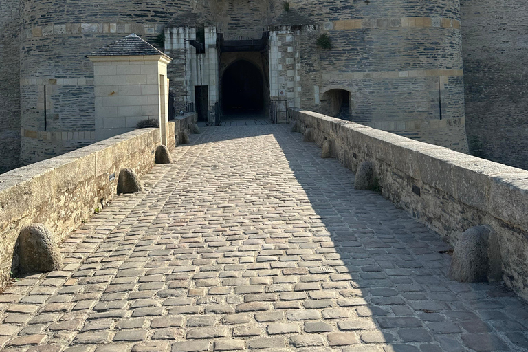 Angers: Château d'Angers, Wine Tasting, and Lunch Tour