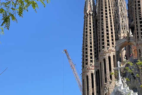 Guided Tour of Sagrada Familia - Gaudi's dream