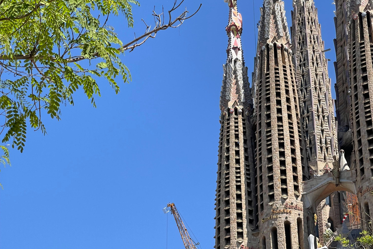 Guided Tour of Sagrada Familia - Gaudi's dream