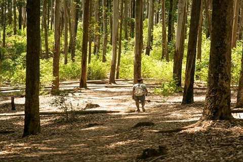 Haputale: Ella Rock, Spice Garden, & Little Adam's Peak Tour