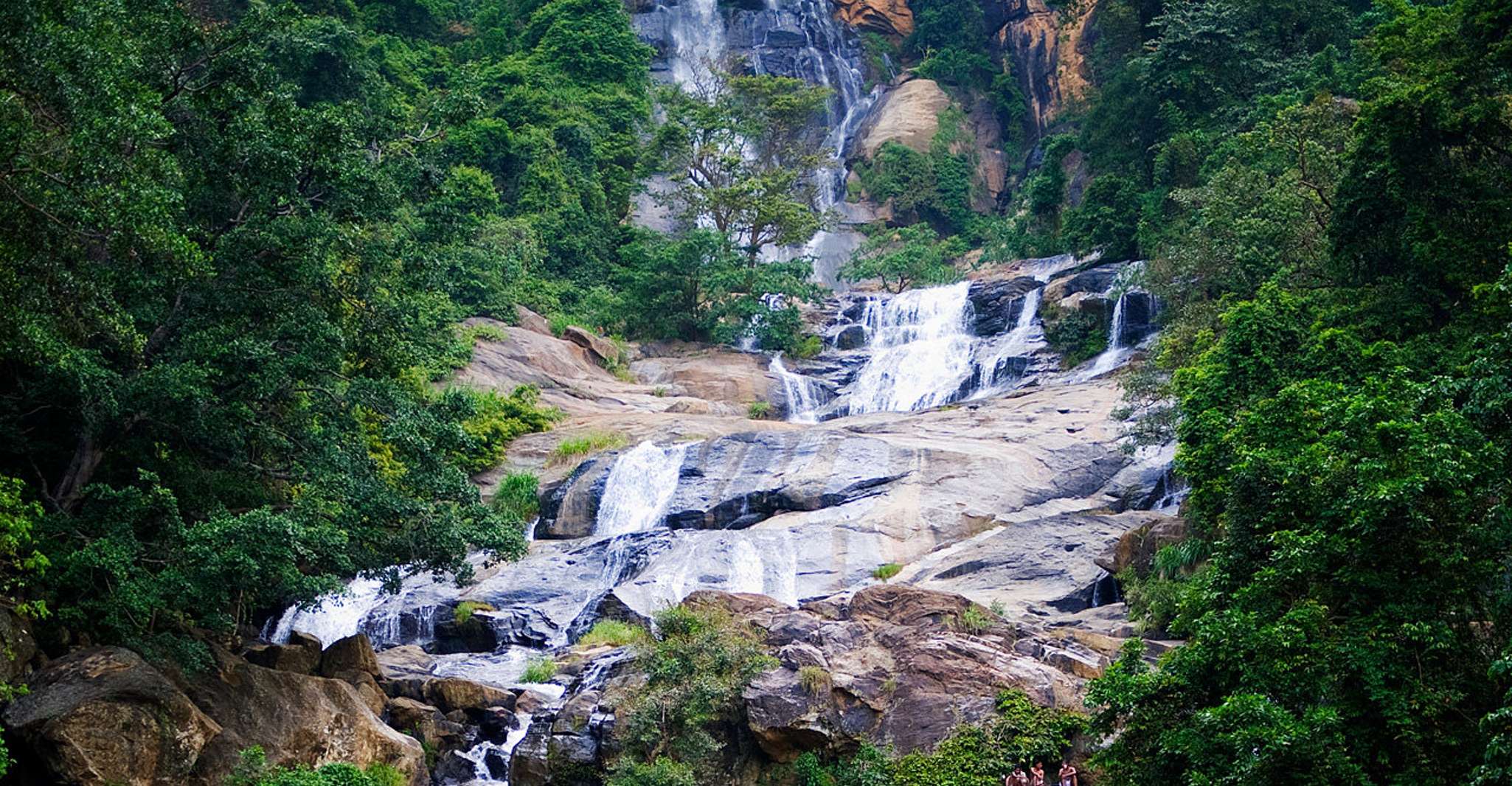 Full-Day Guided Tour to Ella/Rawana Falls/Little Adam's peak - Housity