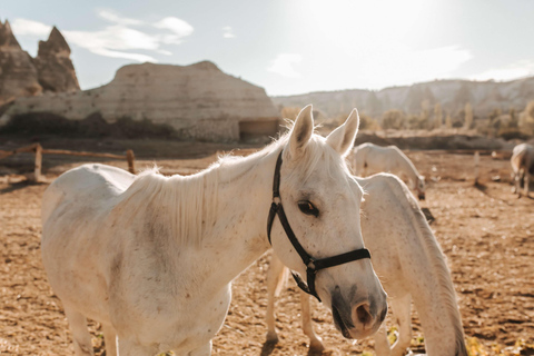 Excursión de 2 horas a caballo al atardecer (Valle Rojo y Rosa)