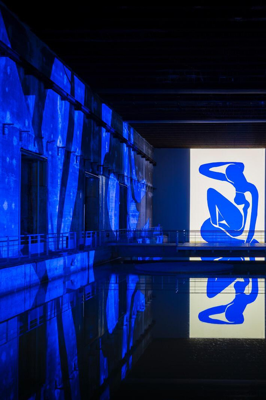 ボルドー：バッサン・デ・リュミエール、マティスのチケット