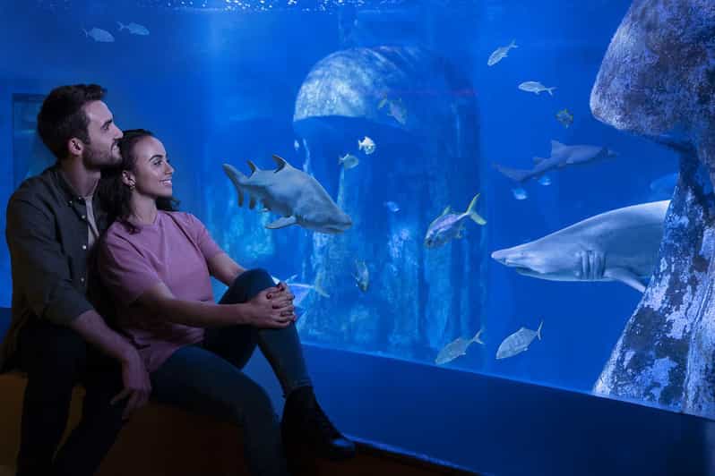 London Madame Tussauds, London Eye & SEA LIFE Combo Ticket GetYourGuide