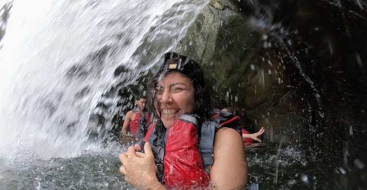 San Juan: tour combinato della foresta pluviale di El Yunque e della baia di Bio