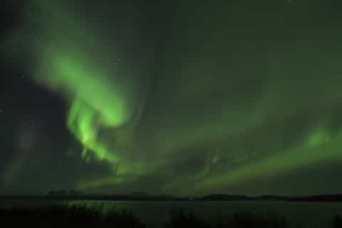 Iceland: Northern Lights Bus Tour from Reykjavik
