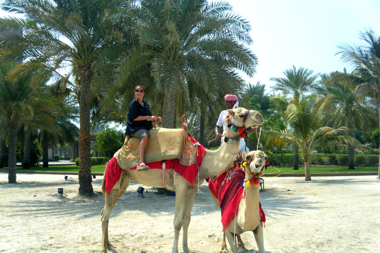 Agadir: Camel Ride With Tea in Falamingos River